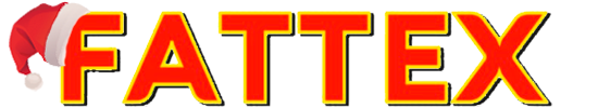 Website Logo